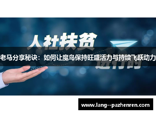 老马分享秘诀：如何让魔鸟保持旺盛活力与持续飞跃动力